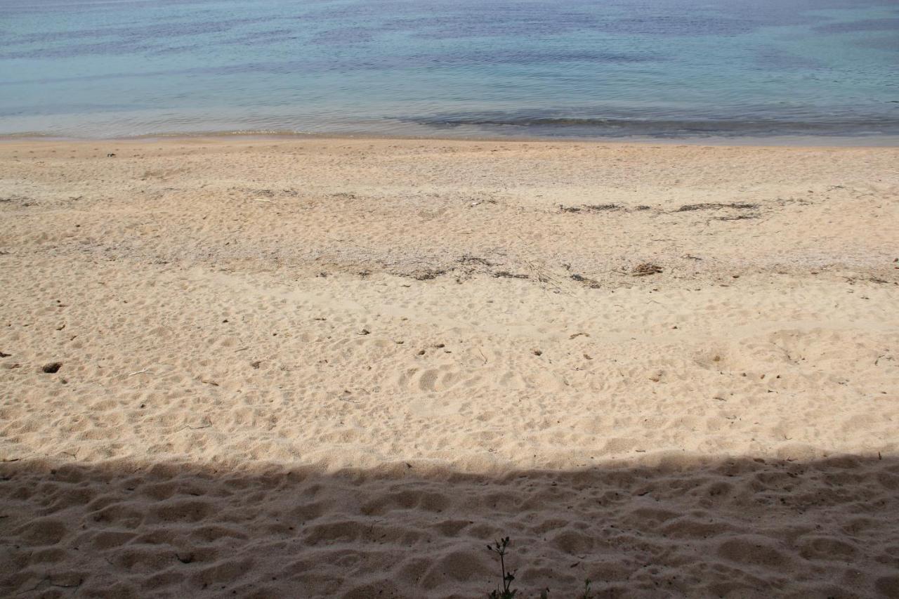 Studio Pieds Dans L'Eau Ajaccio  Dış mekan fotoğraf